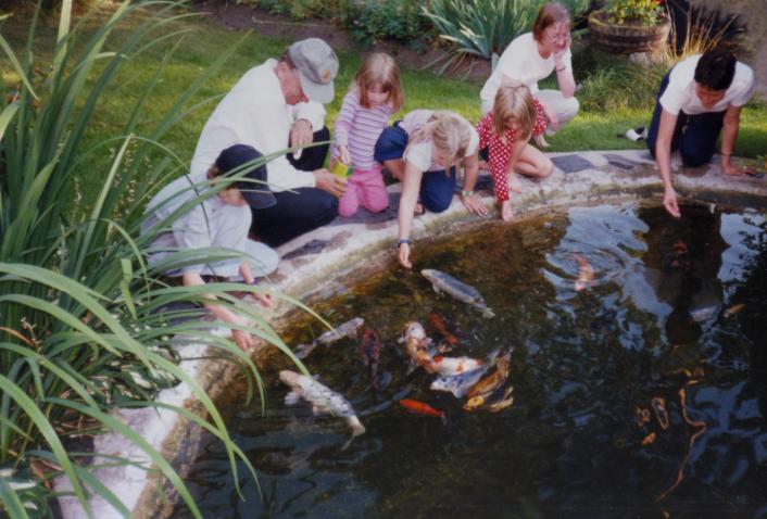 [Pond life in 2002]